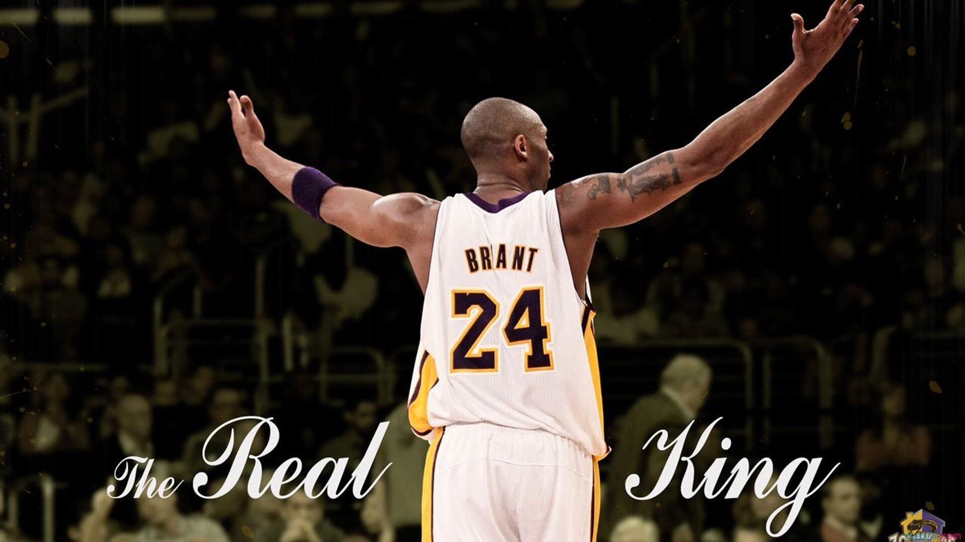 开云官网-世界排名争夺战焦点战，太阳冲垮深圳队